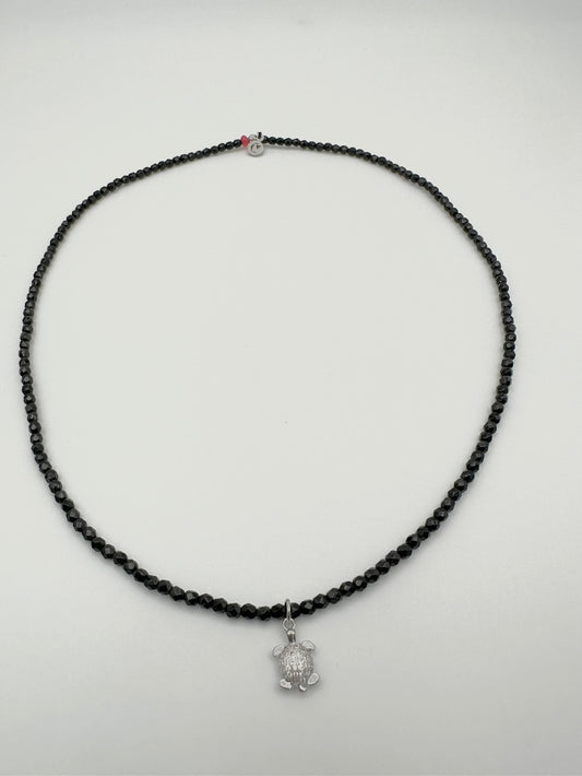 Mi tortuga plateada CaJouX